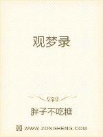 观梦录