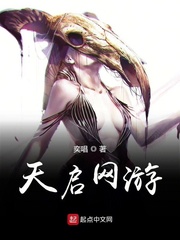 天启网游