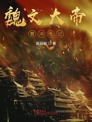 魏文大帝曹冲传记