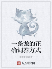 一条龙的正确饲养方式