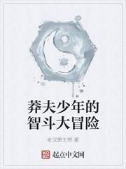 莽夫少年的智斗大冒险