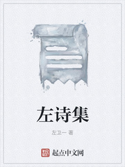 左诗集