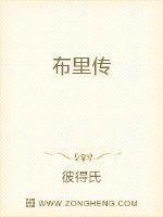 布里传