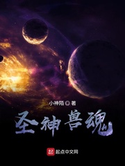 圣神兽魂