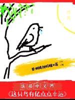 这只鸟有亿点点幸运