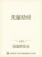 无量劫经