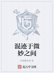 混迹于微妙之间