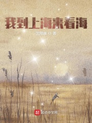 我到上海来看海