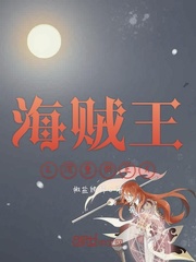 海贼王之沉重的正义