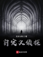 自定义侦探