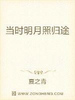 当时明月照归途