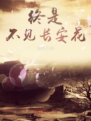 终是不见长安花