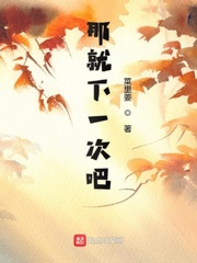 那就下一次吧