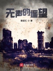 无声的遥望
