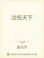 法权天下