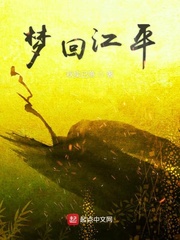梦回江平