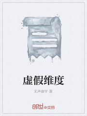 虚假维度