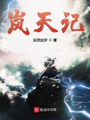 岚天记