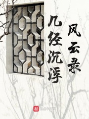 几经沉浮风云录