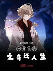 神奇宝贝之奇迹人生