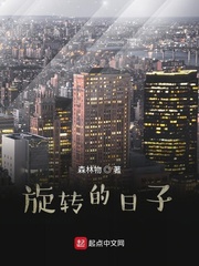 旋转的日子