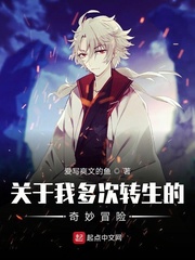关于我多次转生的奇妙冒险