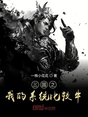 三国之我的系统比较牛