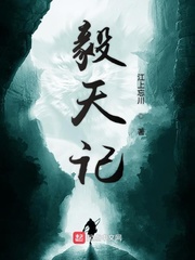 毅天记