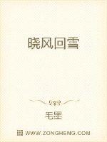 晓风回雪