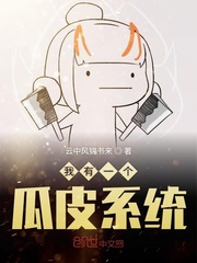我有一个瓜皮系统