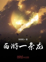 西游一条龙