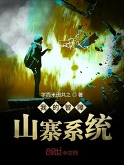 我的智障山寨系统