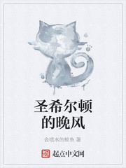 圣希尔顿的晚风