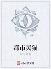 都市灵猫