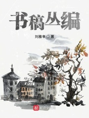 书稿丛编