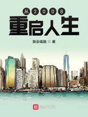 从2008重启人生