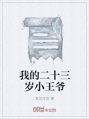 我的二十三岁小王爷