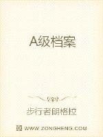 A级档案