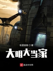 大明大当家