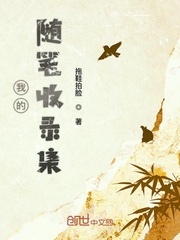 我的随笔收录集