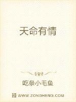 天命有情