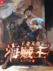 王者无敌海贼王