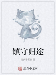 镇守归途