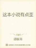 这本小说有点歪