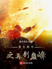 重生都市之再创巅峰