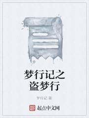 梦行记之盗梦行