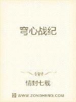 穹心战纪