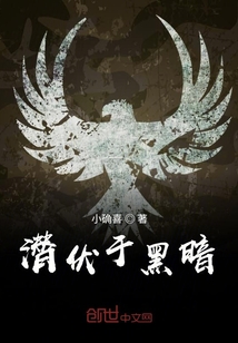 潜伏于黑暗