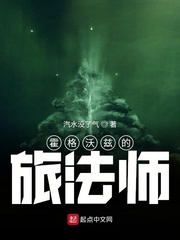 霍格沃兹的旅法师