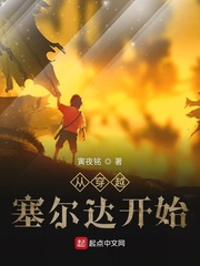 从塞尔达召唤开始